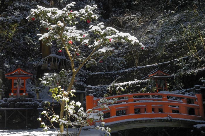 12/01/2009 - KIBUNE - JAPON - Un arbre en fleur et eneige pres d un temple - Photo Bruno GAUTIER / KR Images Presse